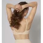 Wild Rose Sensation W01