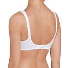 Elegant Cotton N