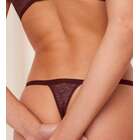 Triumph Signature Sheer String