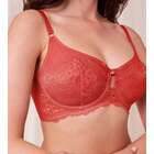 Wild Peony Florale W01