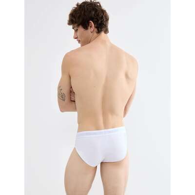 SLG Base Brief C2P