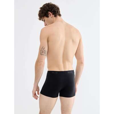 SLG Base Trunk C2P