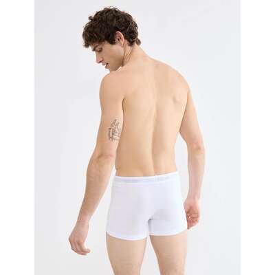 SLG Base Trunk C2P
