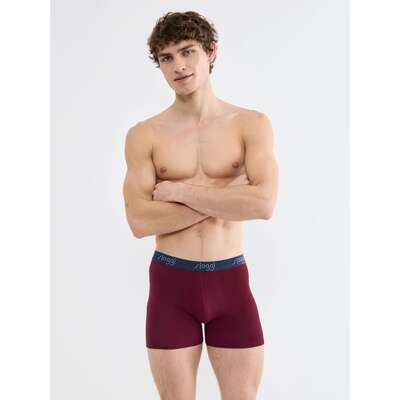 sloggi men Start Short C2P box